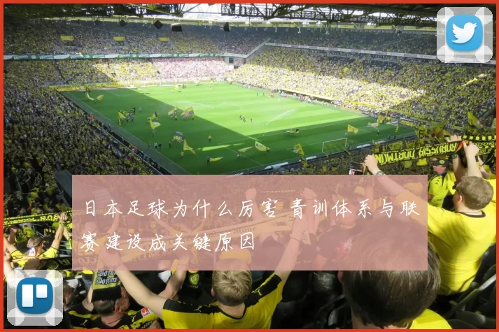 日本足球为什么厉害 青训体系与联赛建设成关键原因