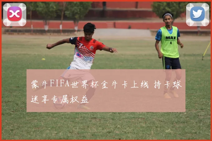 蒙牛FIFA世界杯金牛卡上线 持卡球迷享专属权益