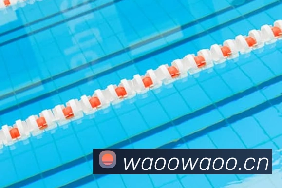 App Interface Preview