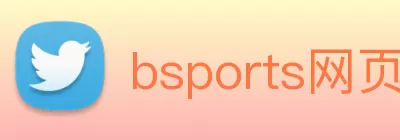 bsports网页版登录入口 - B(中国) logo